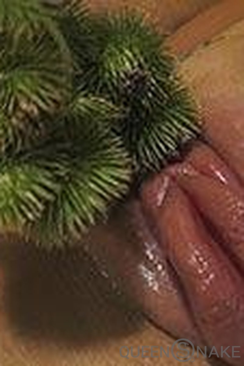 Burdock - Screenshot 1 of 4 - BDSM