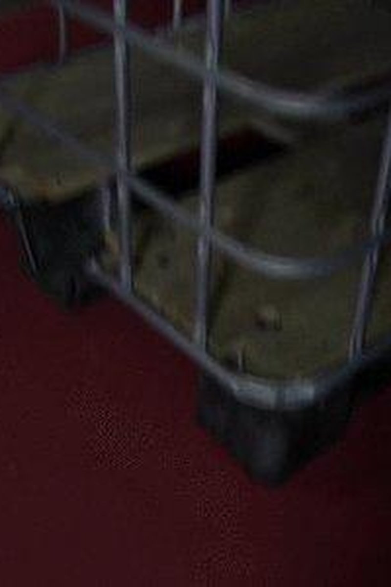 Orgasm Games - Screenshot 1 of 4 - BDSM