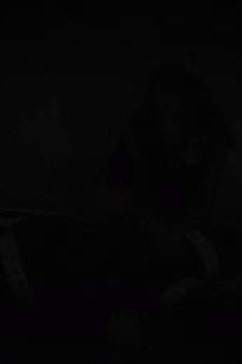 Plastic Wrap Prank - Screenshot 1 of 4 - Challenge