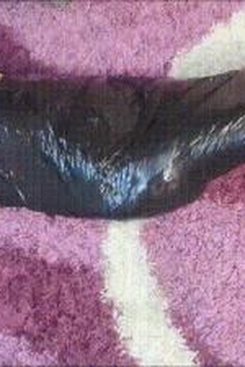 Plastic Wrap Mummification - Screenshot 1 of 4 - Domination