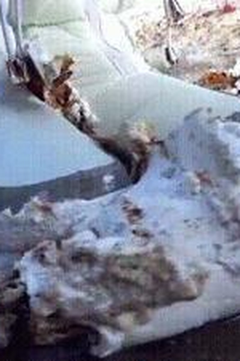 Squeeze White Cake - Screenshot 1 of 4 - Boots