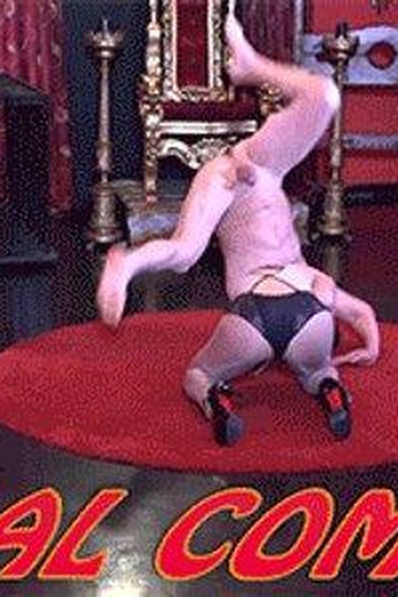 Fina Combat HD - Screenshot 1 of 4 - Bdsm Videos