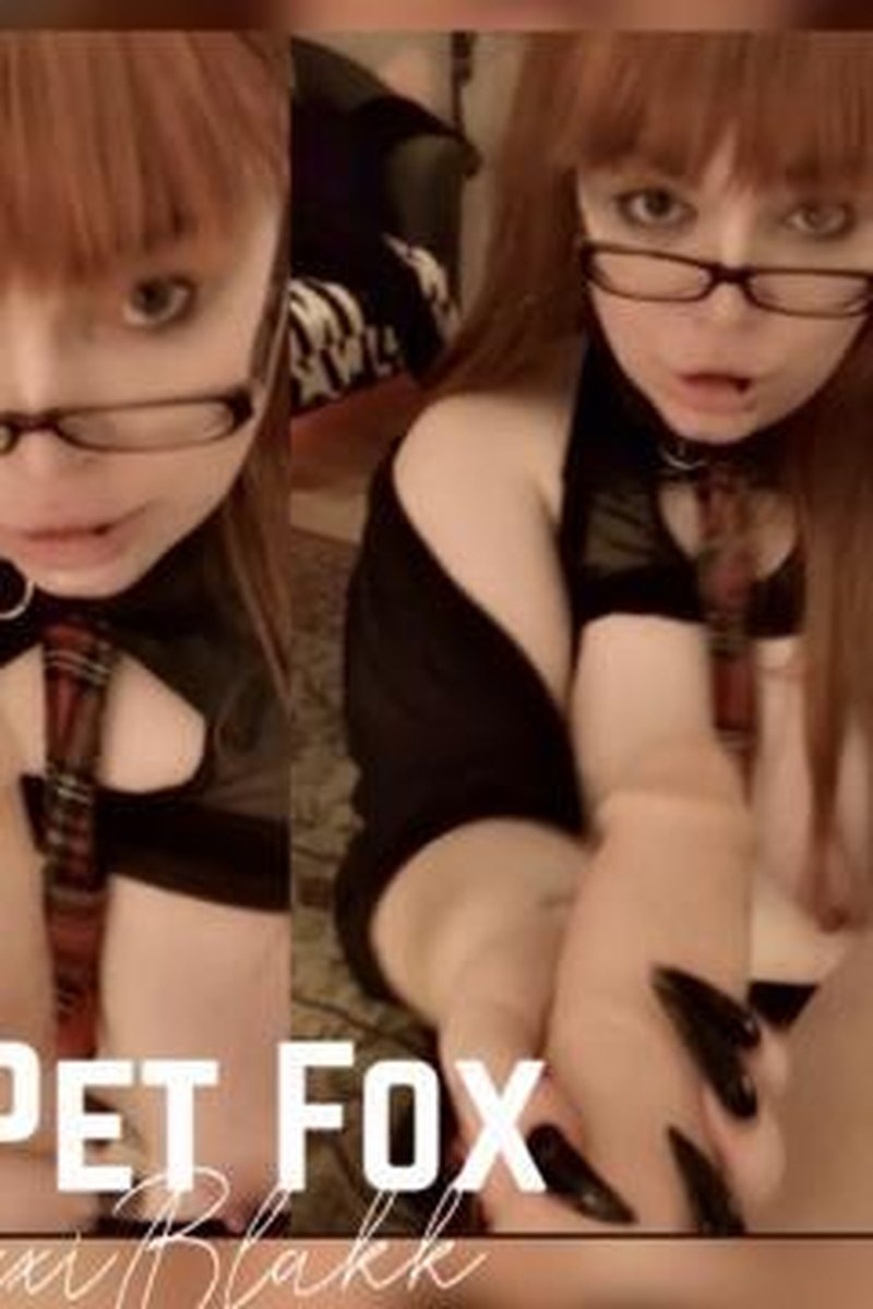 Daddys Pet Fox - Screenshot 1 of 4 - Amateur