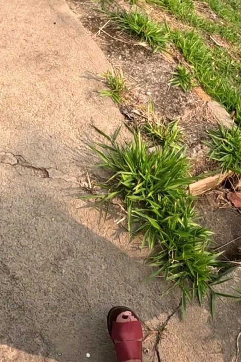 POV Walking - Screenshot 1 of 4 - Latin Woman