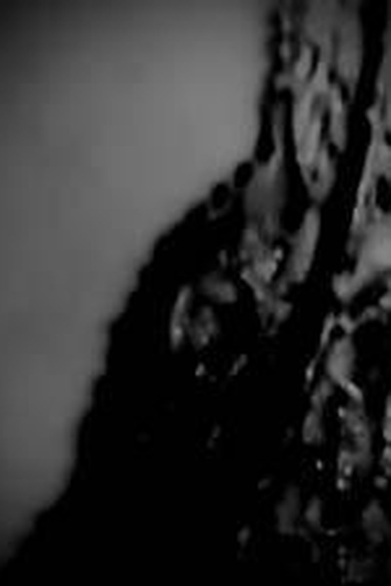 Titty Tease - Screenshot 1 of 4 - Big Tits