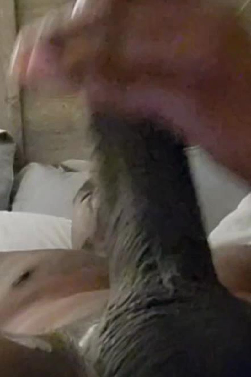 Dropping A Load - Screenshot 1 of 4 - BBC