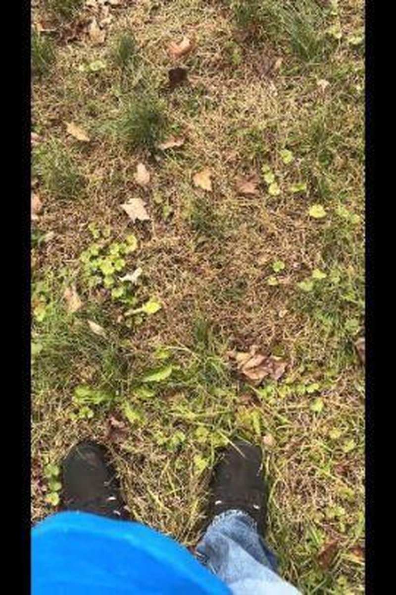 Outdoor Sample Mp4 - Screenshot 1 of 4 - Outdoor Feet