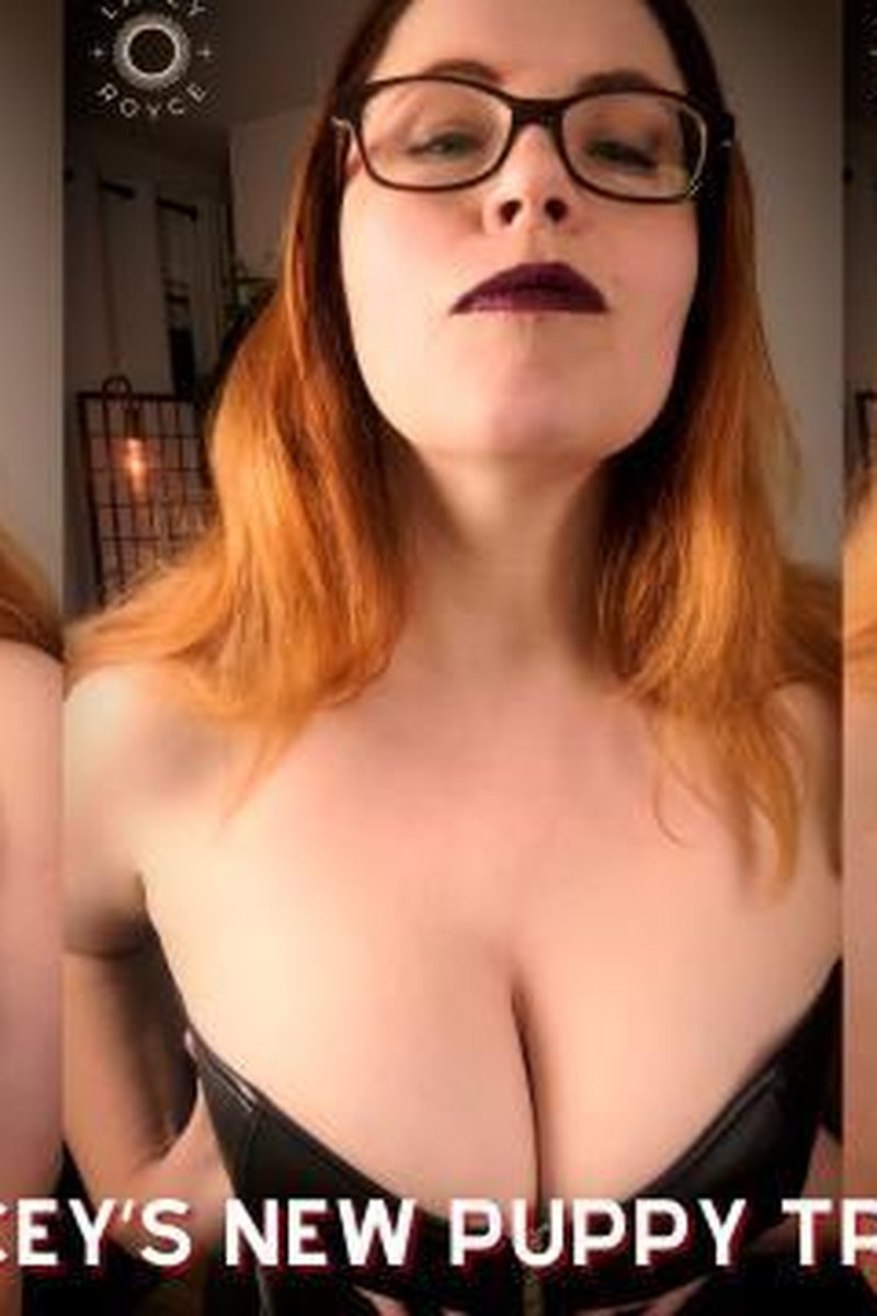 Mistress Laceys New Puppy Training Tasks - Screenshot 1 of 4 - Big Tits