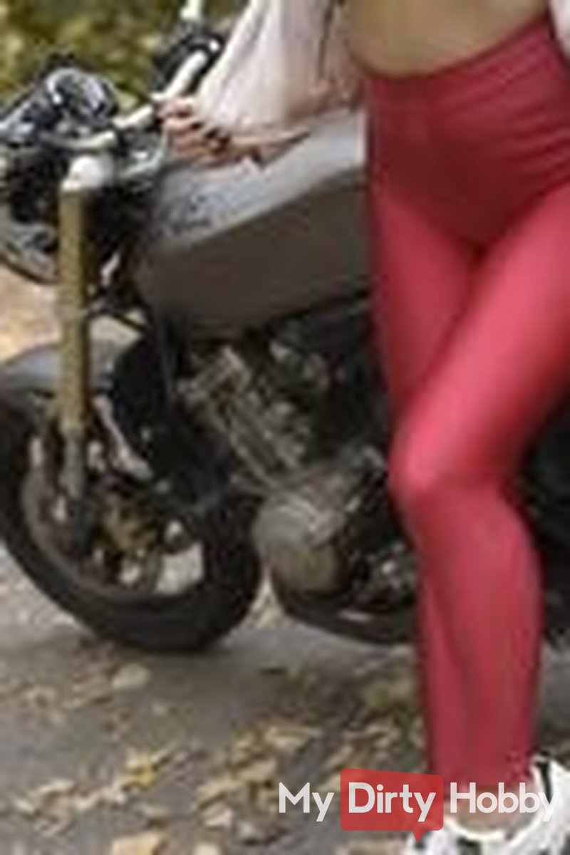 Let's Ride - Screenshot 1 of 4 - Daliya Arabian