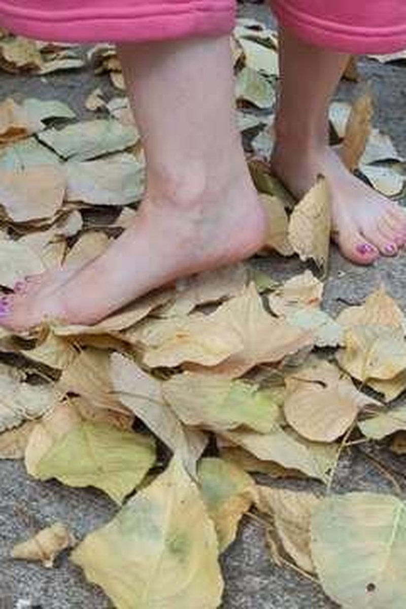 Dirty Feet Smashing Leaves In Fall - Screenshot 1 of 4 - Foot Fetish