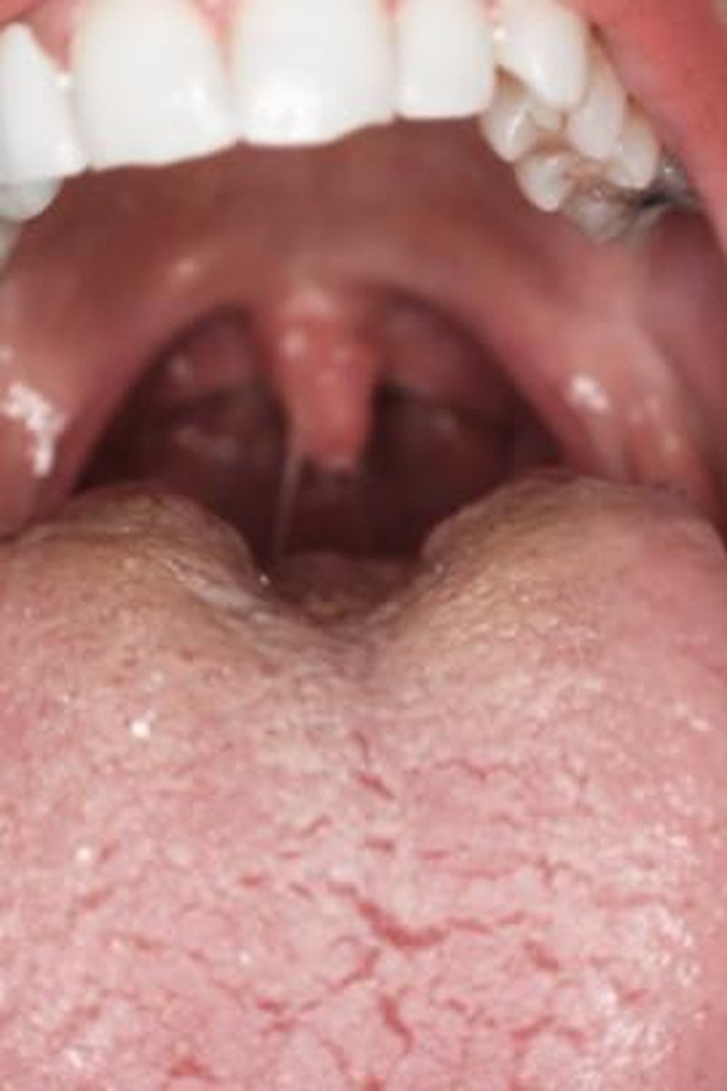 Harleen Eating Mouth Vore Close Ups - Screenshot 1 of 4 - Food