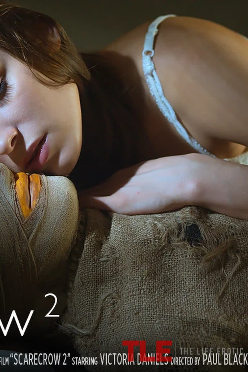 Scarecrow 2 - Screenshot 1 of 4 - All Sex