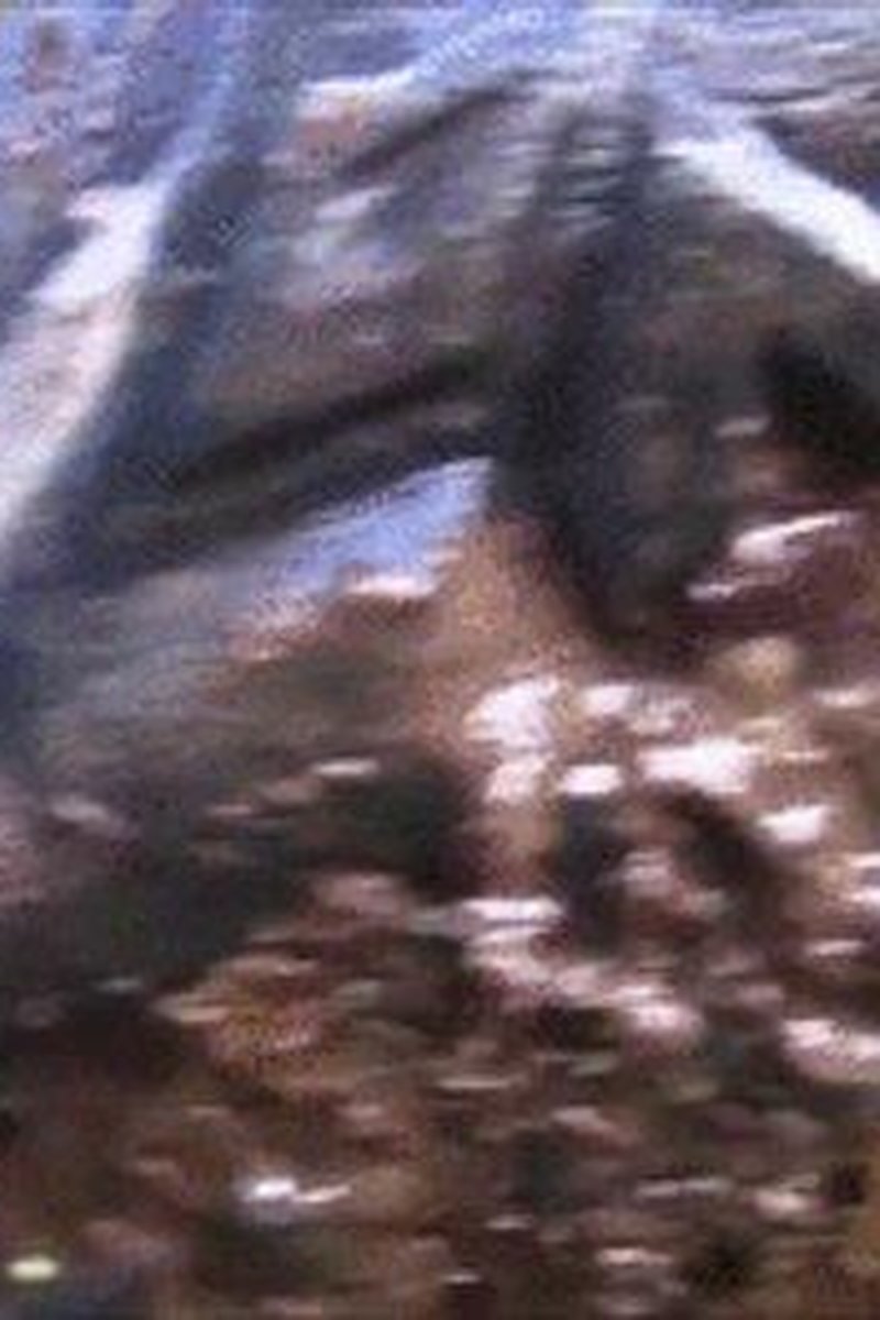 Clean My Hiking Boots - Part 2 -Wmv - Screenshot 1 of 4 - Boots