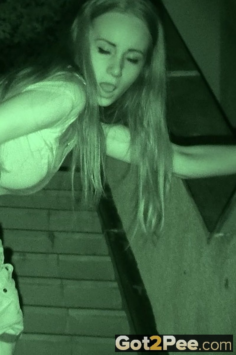 Summer - Screenshot 1 of 4 - Shorts