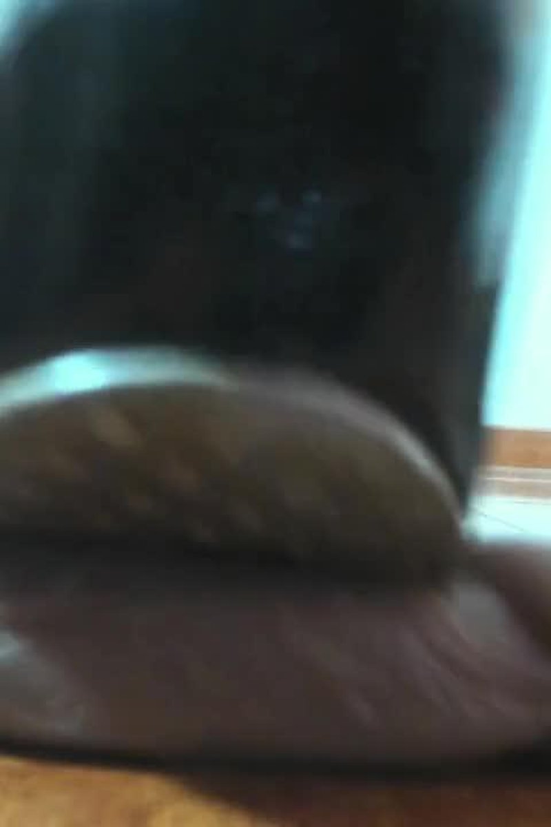 Cock Trampling - Screenshot 1 of 4 - Latin Woman
