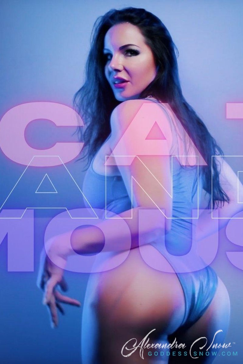 Cat And Mouse - Screenshot 1 of 4 - Broken