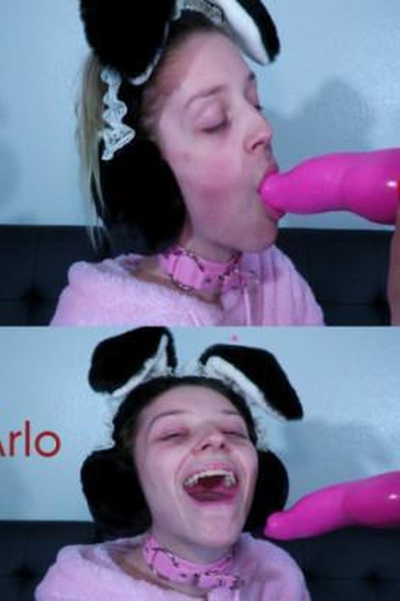 Goodboy Arlo - Screenshot 1 of 4 - Babes