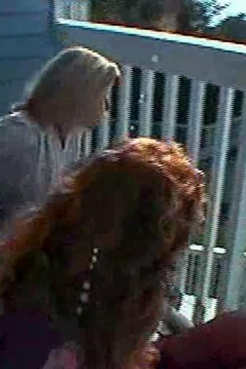 Bubble Bath Babes - Screenshot 1 of 4 - Topless