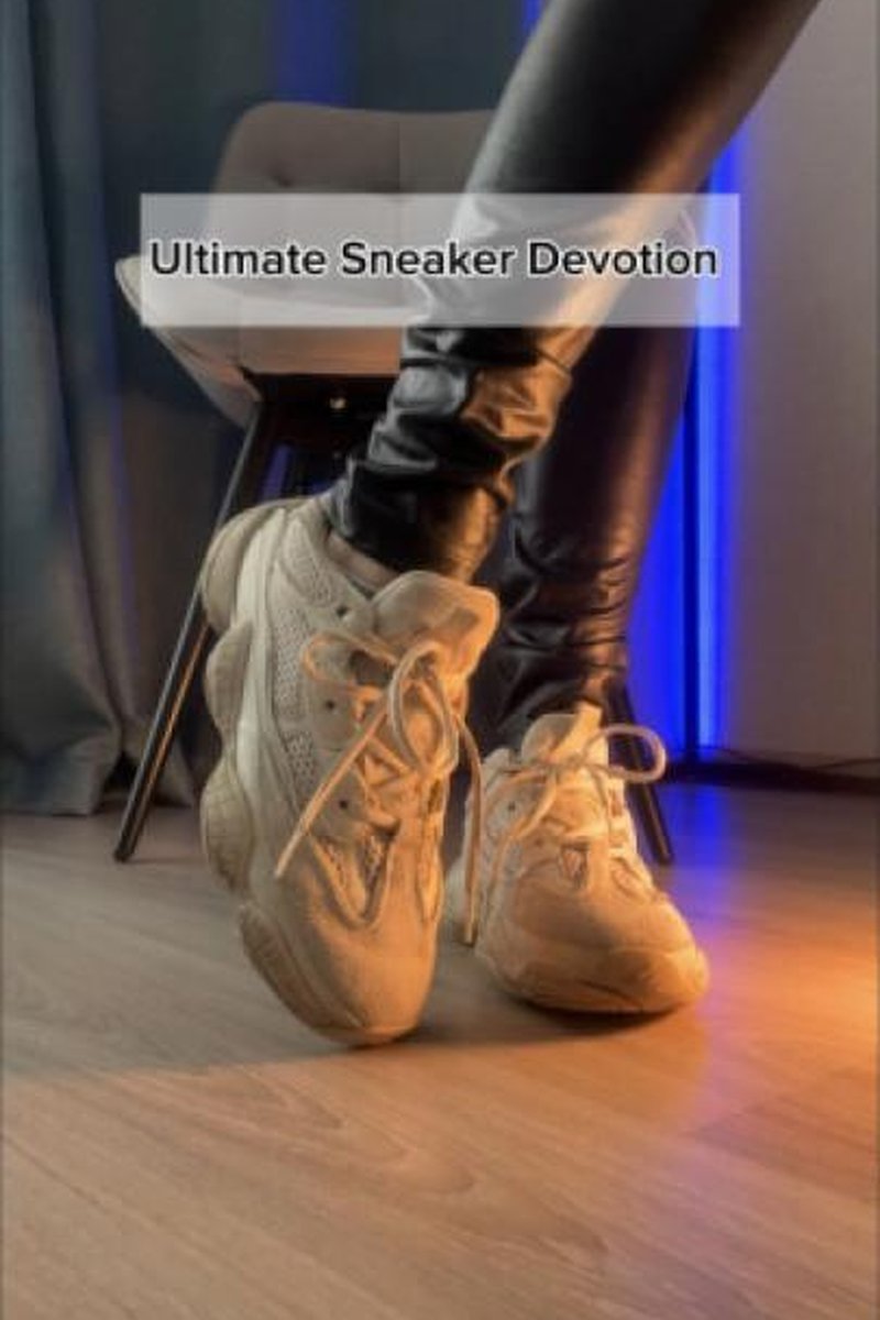 Ultimate Sneaker Devotion - Screenshot 1 of 4 - Domination