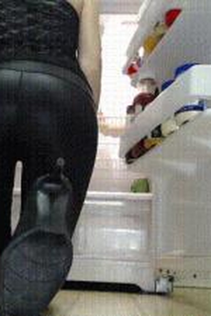 Fridge Stock - Screenshot 1 of 4 - Ass Fetish