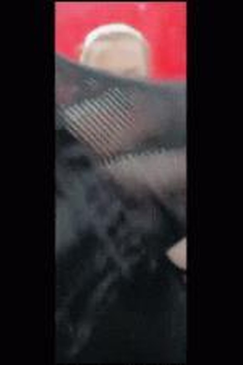 Nylon Pantyhose Compilation - Screenshot 1 of 4 - Amateur