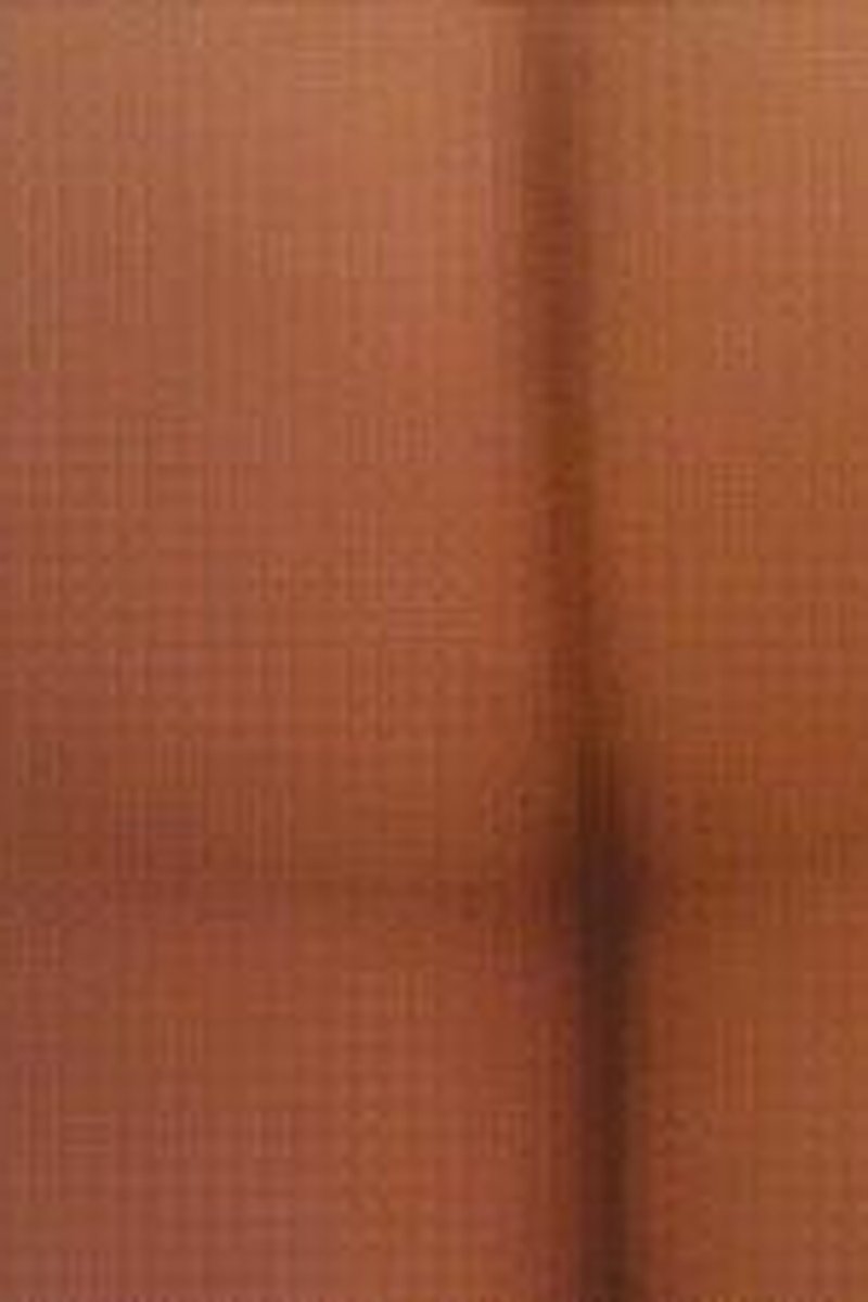Shower Ass Bouncing - Screenshot 1 of 4 - Ass Fetish