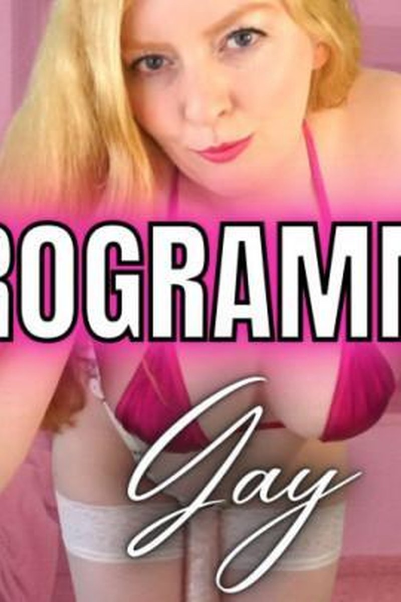 Programmed Gay - Screenshot 1 of 4 - Biencouragement