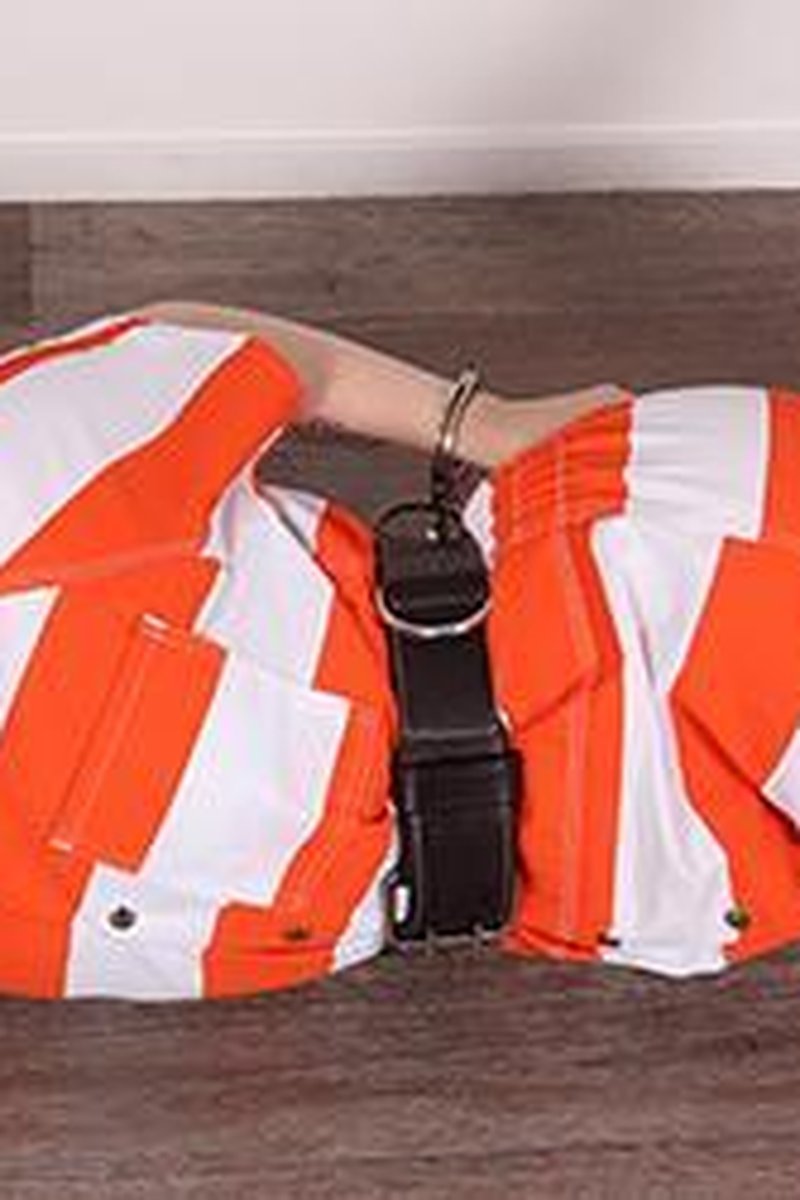 Hogcuffed Prisoner - Screenshot 1 of 4