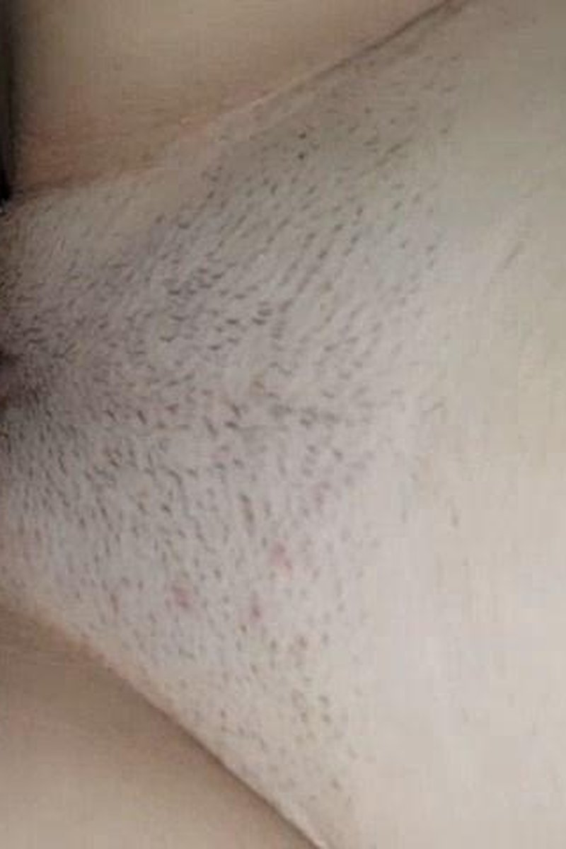 Car Meat - Screenshot 1 of 4 - Amateur