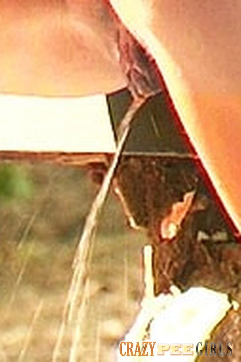 Outdoor Peeing Fun - Screenshot 1 of 4