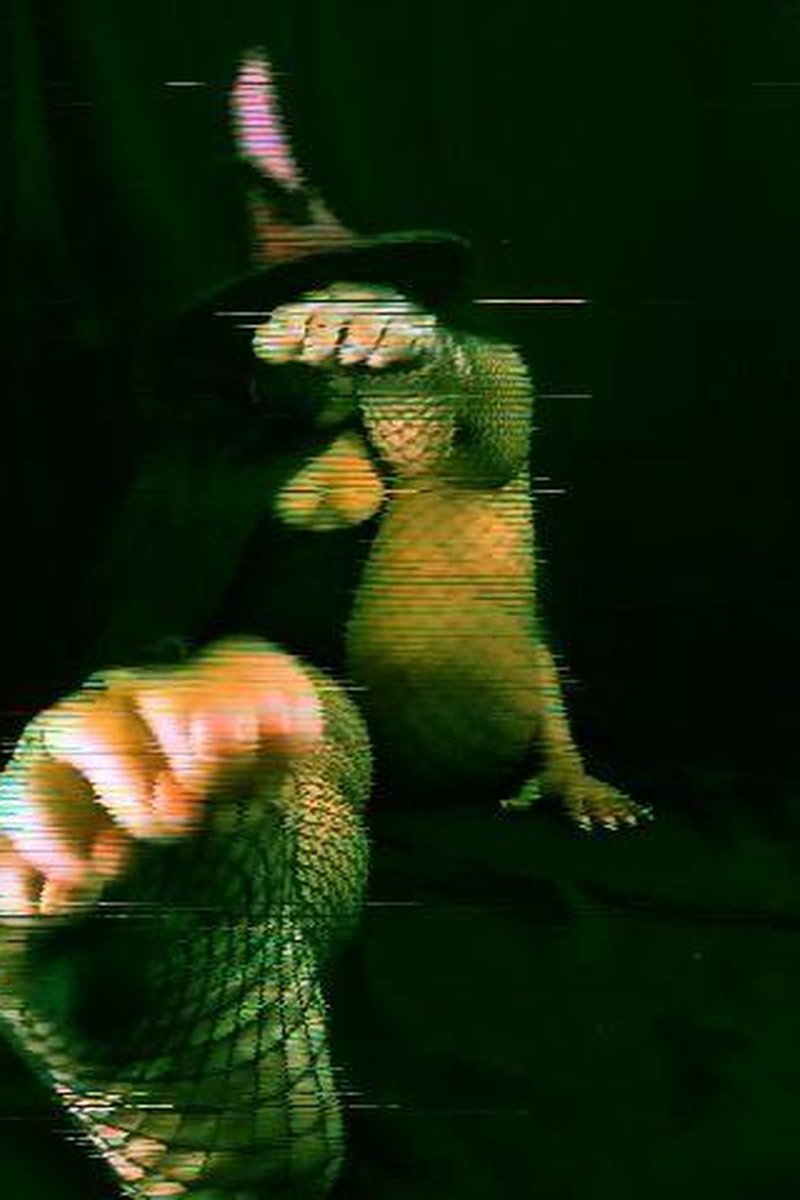 Trippy Witchy Things - Screenshot 1 of 4 - Body Worship