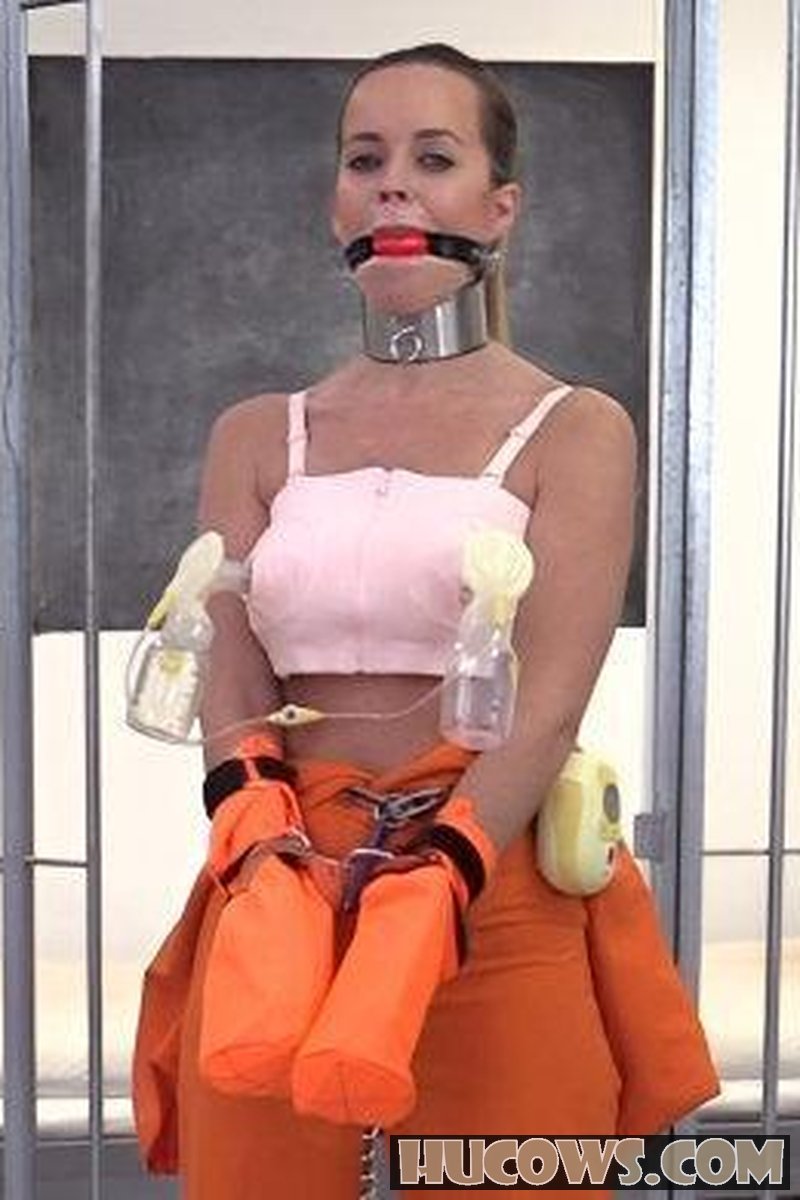 Cindy Dollar - Prisoner Milking Program - Screenshot 1 of 4 - Pump
