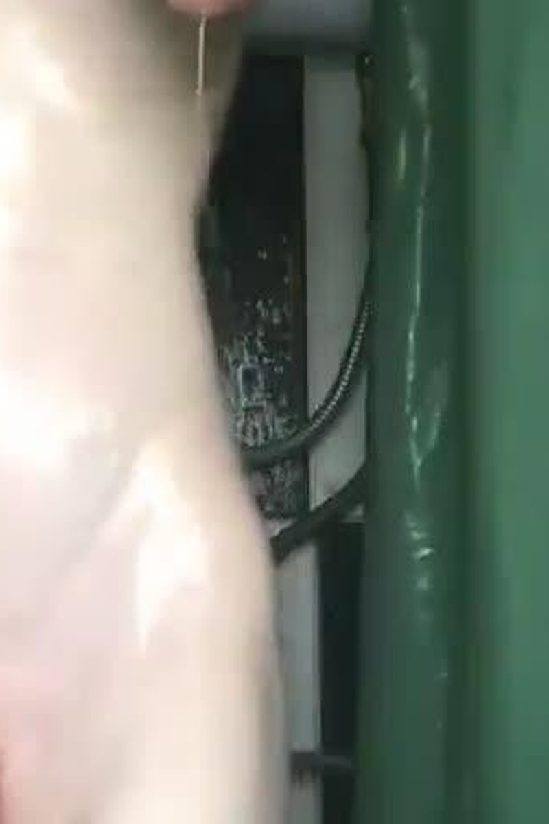 Soapy Playtime - Screenshot 1 of 4 - Bitch