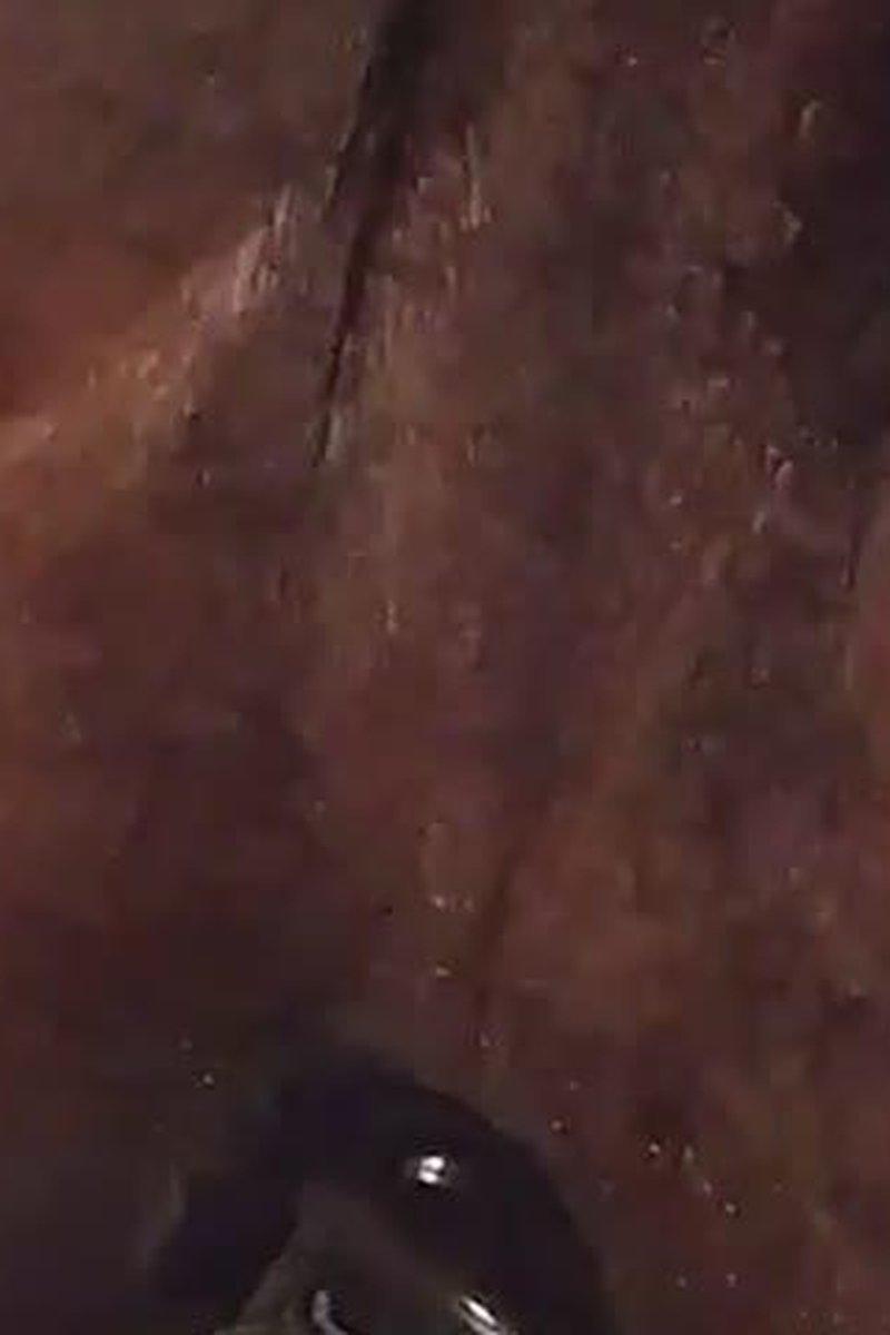 Butt Boy Toy - Screenshot 1 of 4 - Black