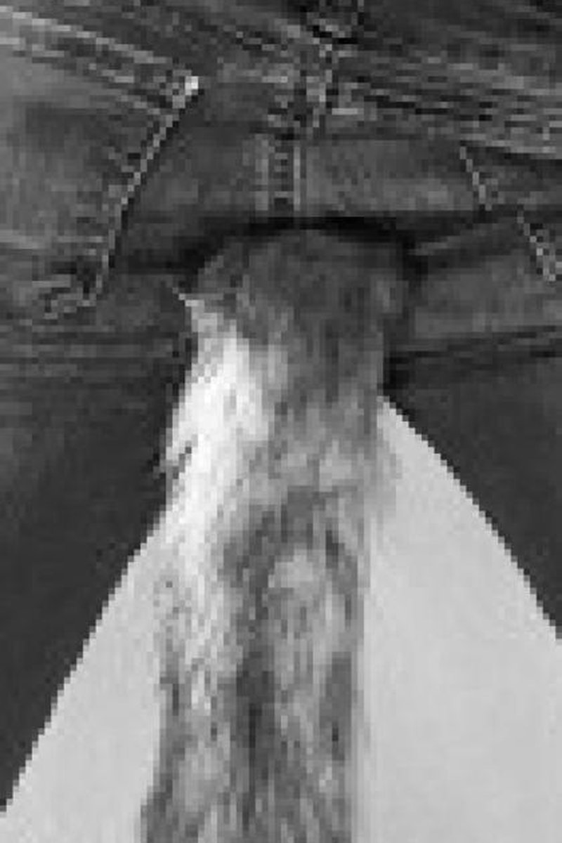 Tail Dressing - Screenshot 1 of 4 - Butt Plug