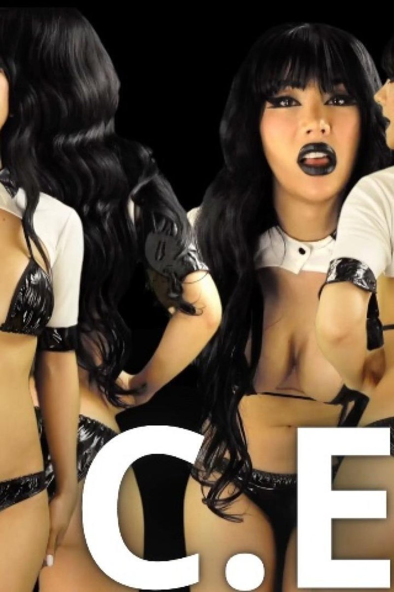 CEI - Screenshot 1 of 4 - Ce Iinstructions