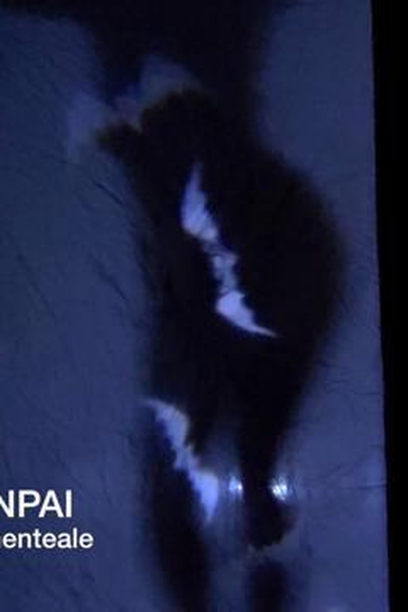 90. Spooky Striptease - Screenshot 1 of 4 - Ass Worship