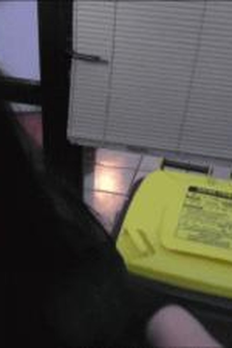 Trash Can Slave - Screenshot 1 of 4 - Domination