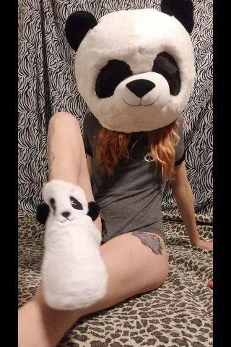 Panda-Moanium - Screenshot 1 of 4 - Close Up