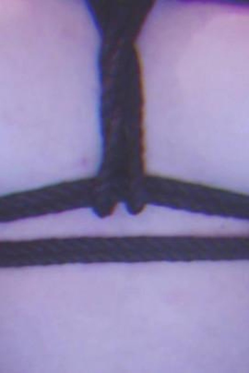 Spanking + Shibari - Screenshot 1 of 4 - Bondage