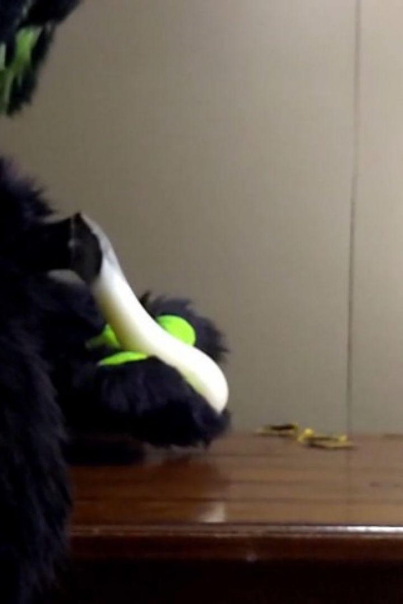 Matrix Bunny Condom 3 - Screenshot 1 of 4 - Costume