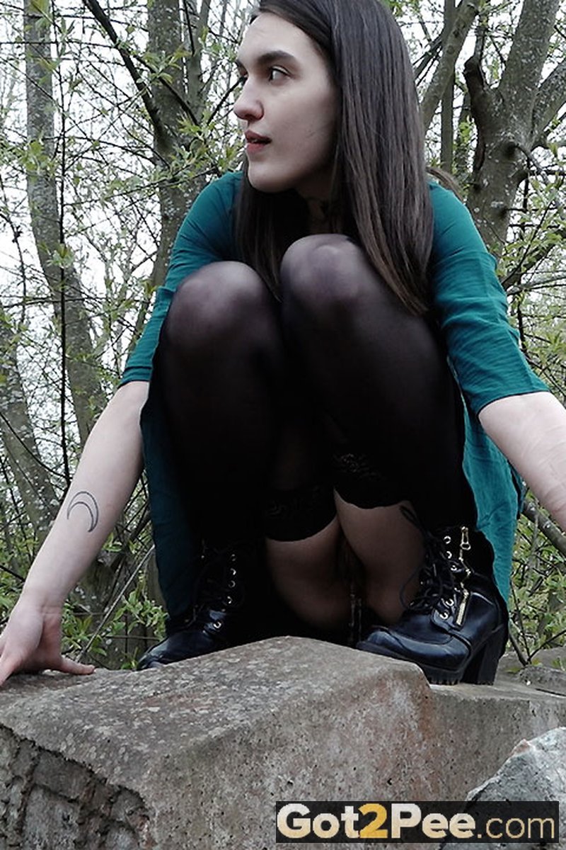 Off the Track - Screenshot 1 of 4 - On Rocks