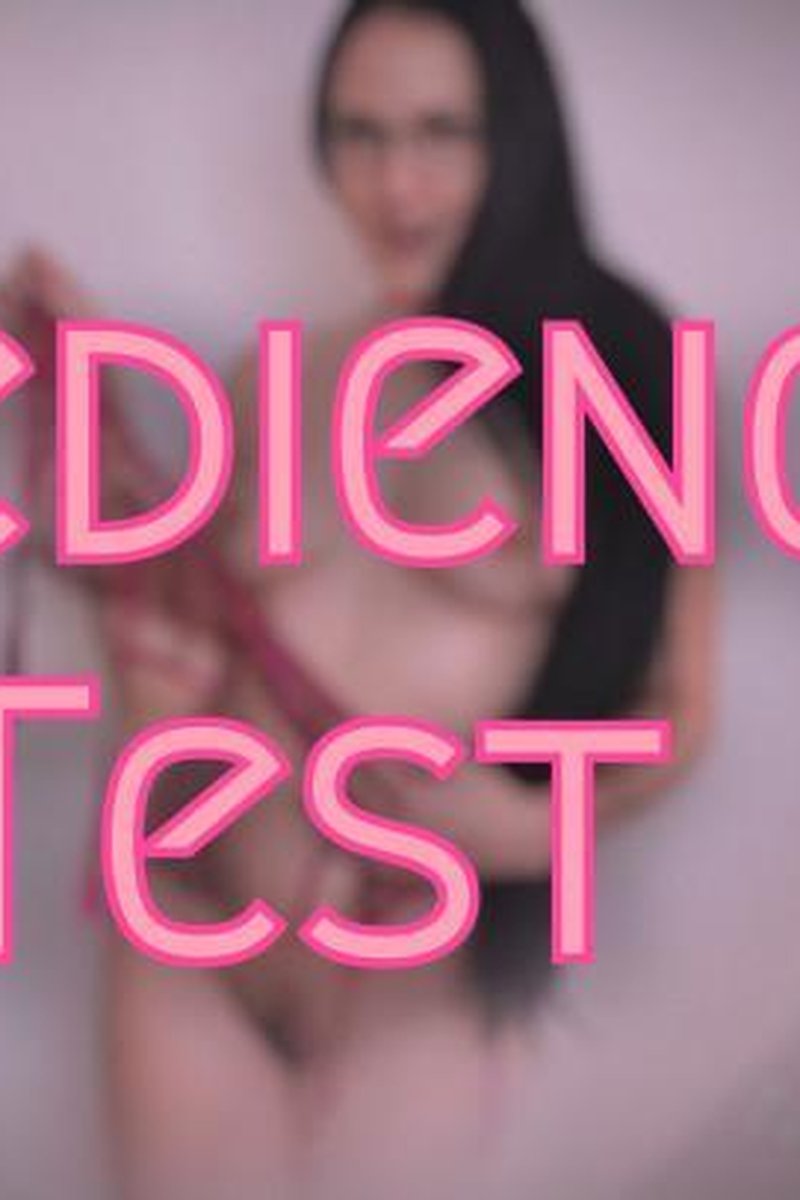 Obedience Test - Screenshot 1 of 4 - Bitch