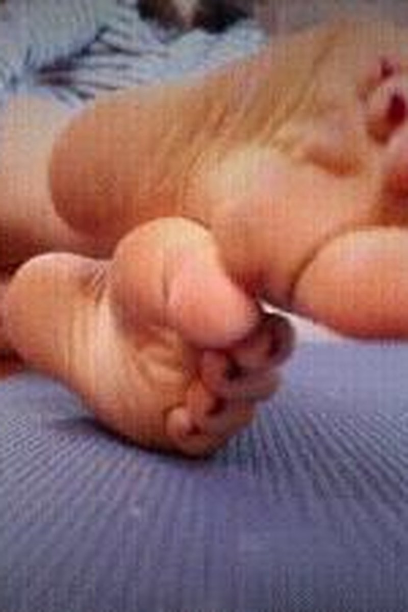 Brainless Foot Slave - Screenshot 1 of 4 - Broken
