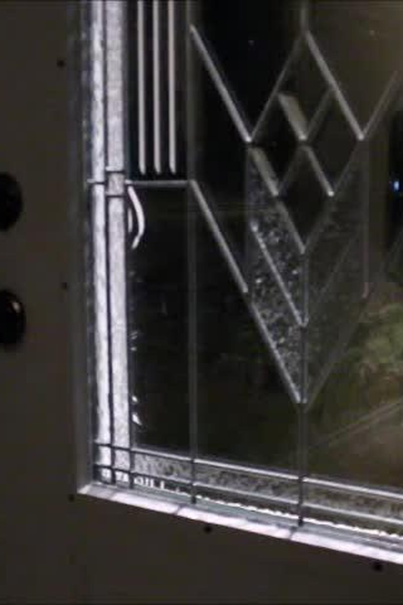 Intruder - Screenshot 1 of 4 - Fingering