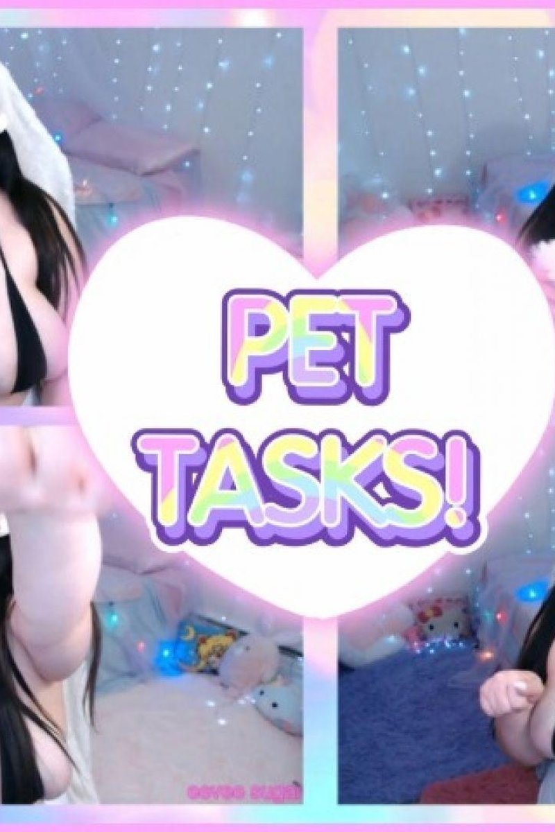 Pet Tasks - Screenshot 1 of 4 - BBW
