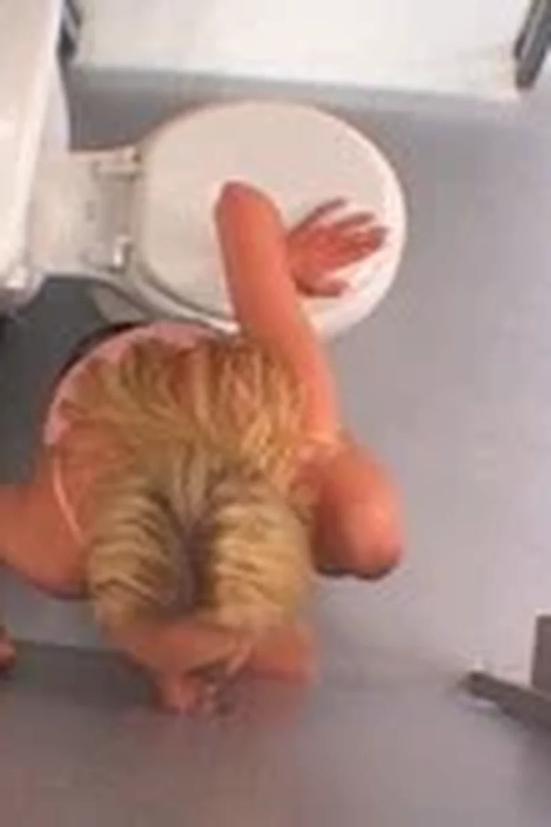 Nuts for Nuts! - Screenshot 1 of 4 - Pornstar