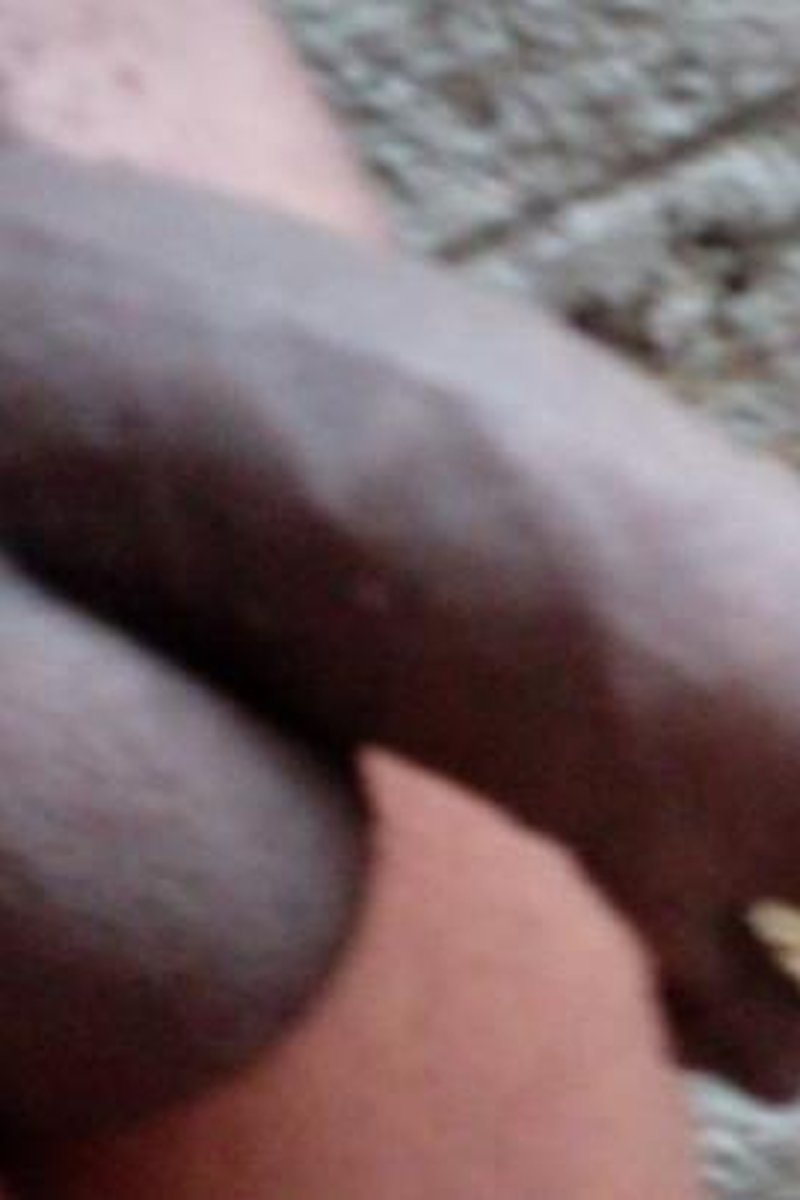 Cream BBC - Screenshot 1 of 4 - BBC