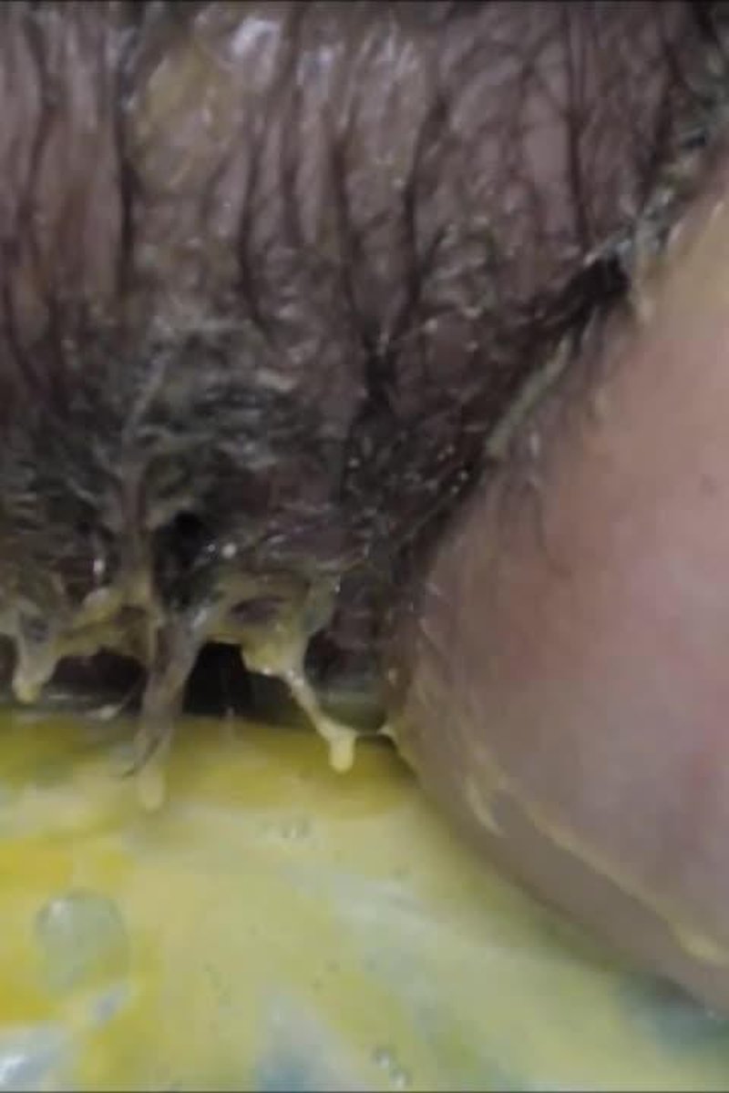BBW Egg Wam - Screenshot 1 of 4 - BBW