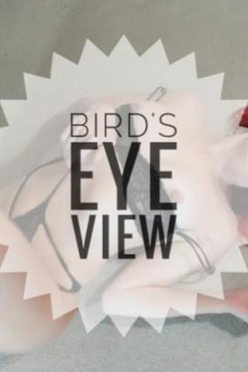 Birds Eye View - Screenshot 1 of 4 - Glasses